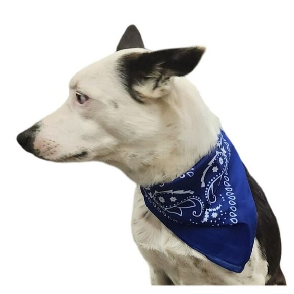 Red White Blue Colorful Bandanas 21x21 Inch Square Western Style Set of 3 - Picture 9 of 13